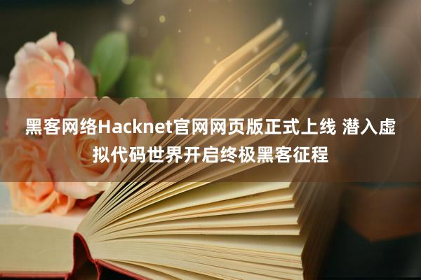 黑客网络Hacknet官网网页版正式上线 潜入虚拟代码世界开启终极黑客征程